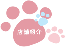 店舗紹介