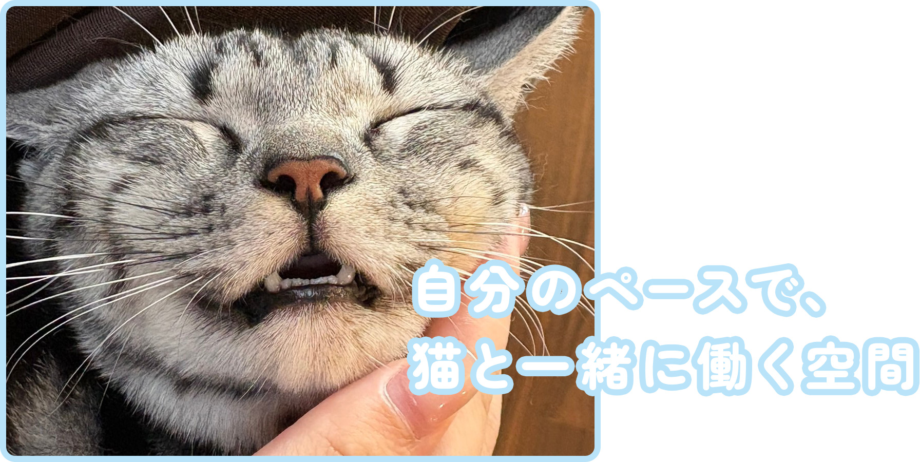 自分のペースで、猫と一緒に働く空間